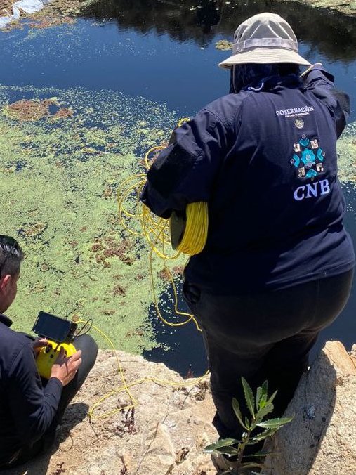 acciones de busqueda 1 130923