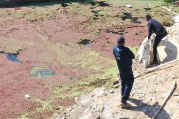 acciones de busqueda 2 130923