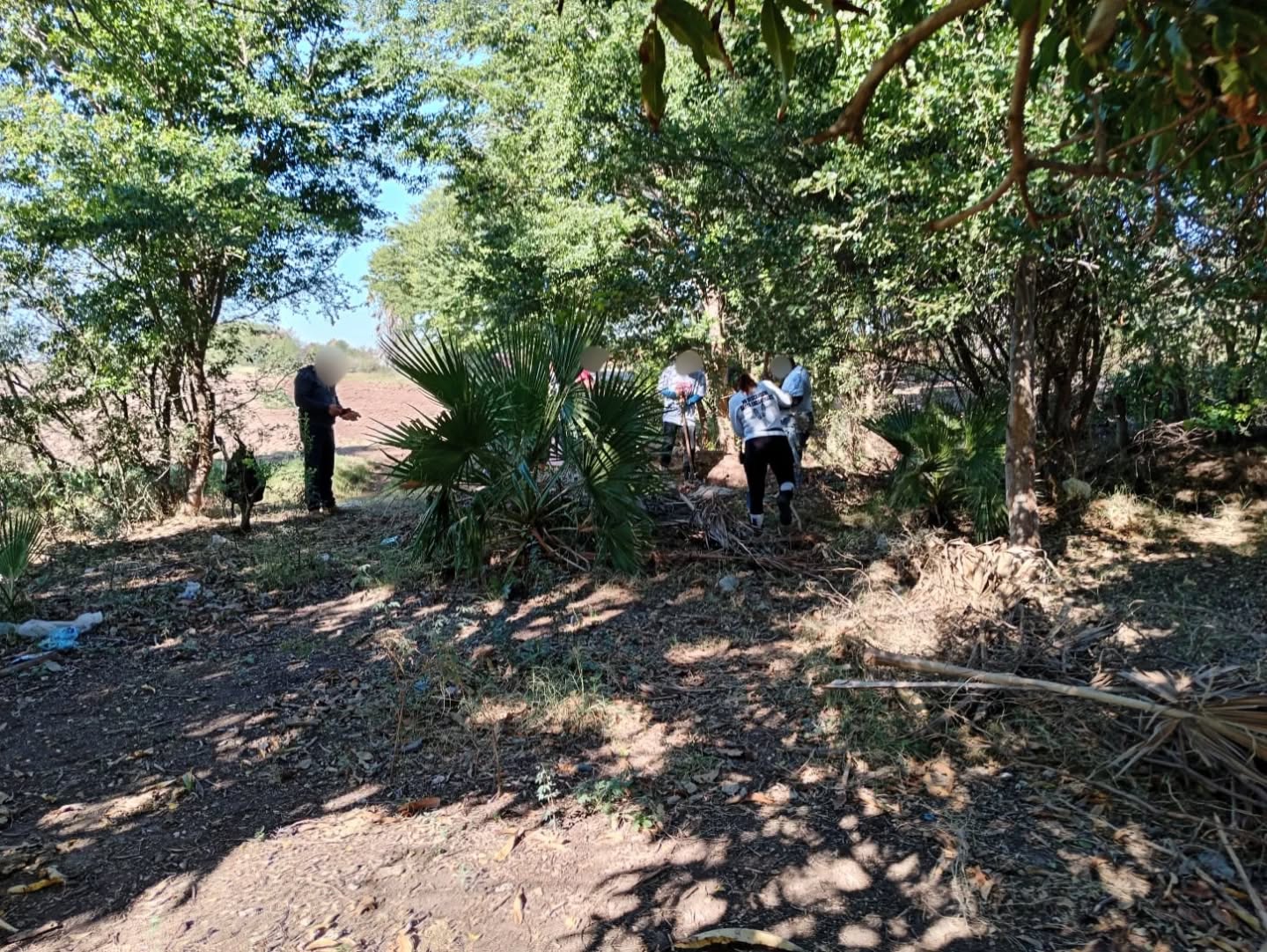 Búsqueda generalizada - 21 de noviembre 2025 en Benito Juárez, Sonora