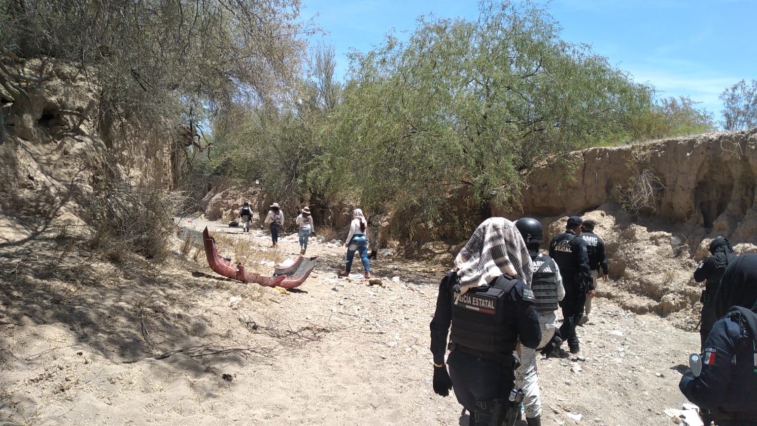 busqueda generalizada 1 080623