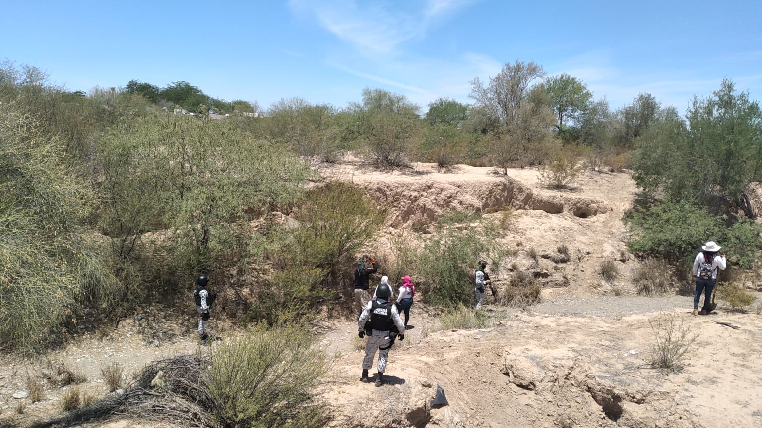 busqueda generalizada 3 080623