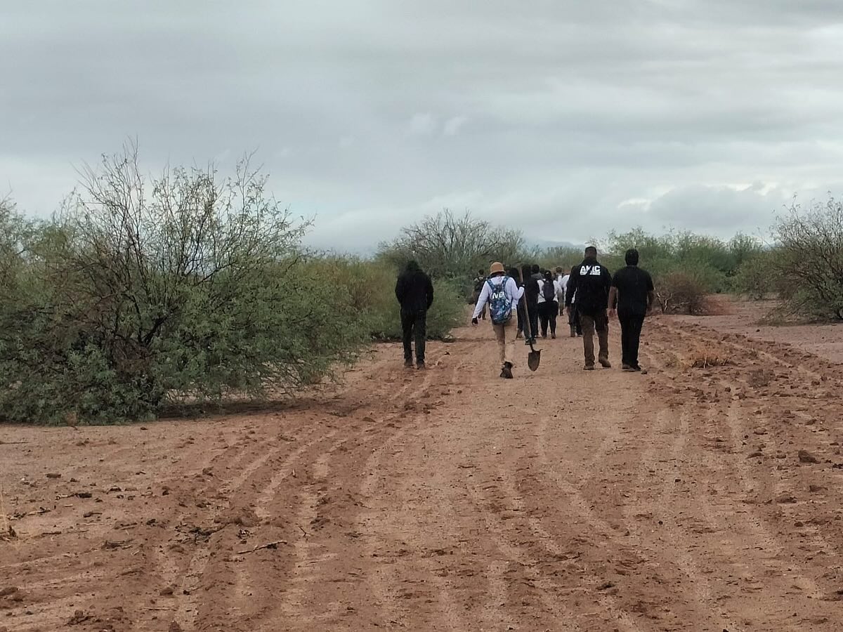 Búsqueda generalizada - 12 de octubre 2025 en Caborca, Sonora