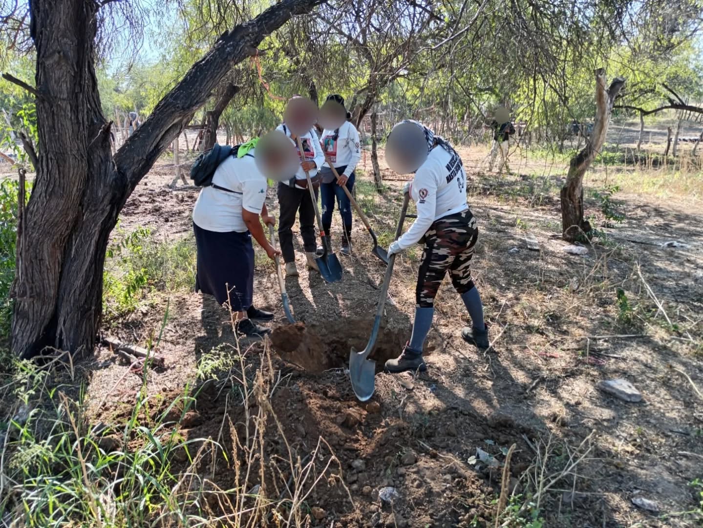 Búsqueda generalizada - 15 de noviembre 2025 en Cajeme, Sonora 
