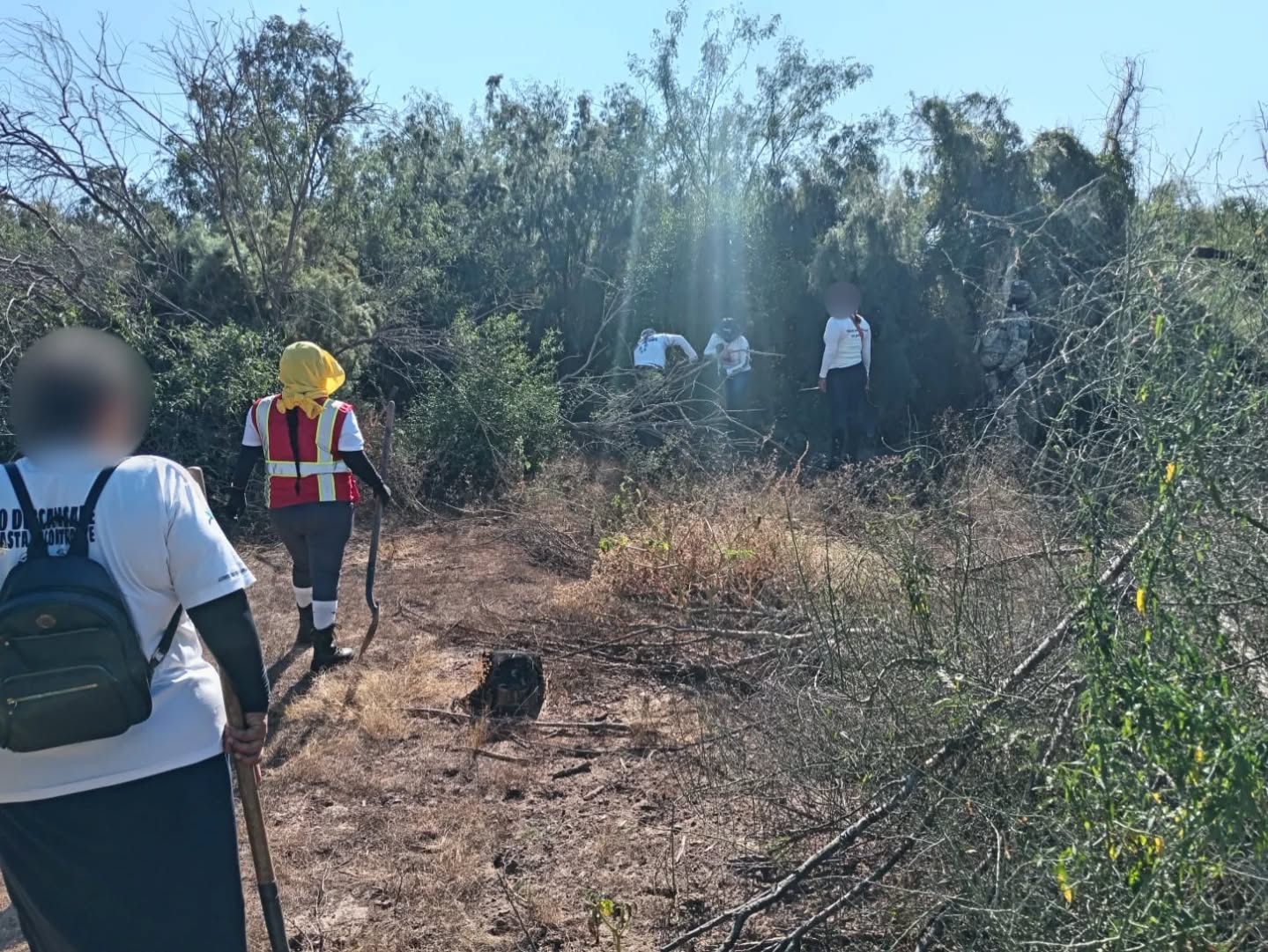 busqueda 15 de noviembre Cajeme 1 2
