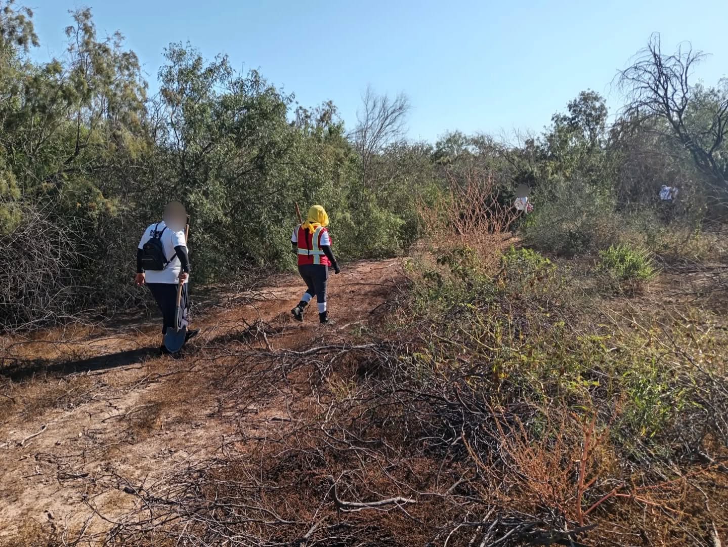 busqueda 15 de noviembre Cajeme 1 3