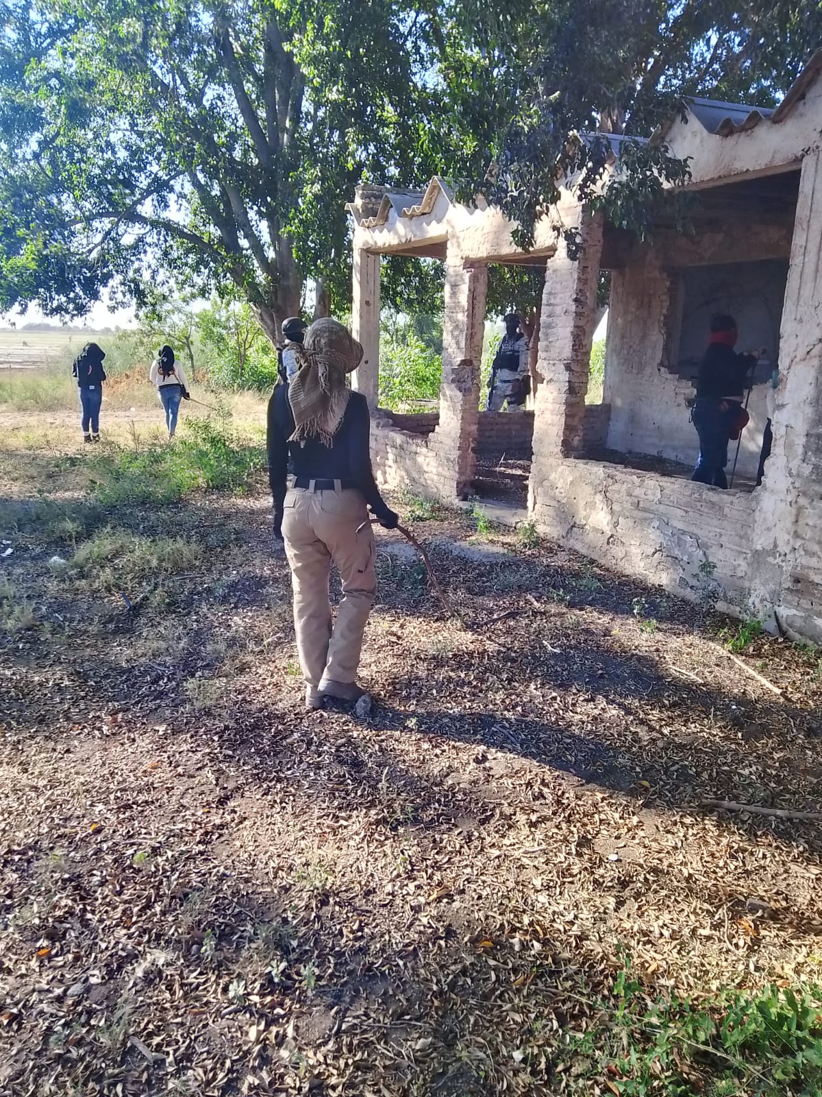 busqueda 8 de noviembre cajeme 2 1