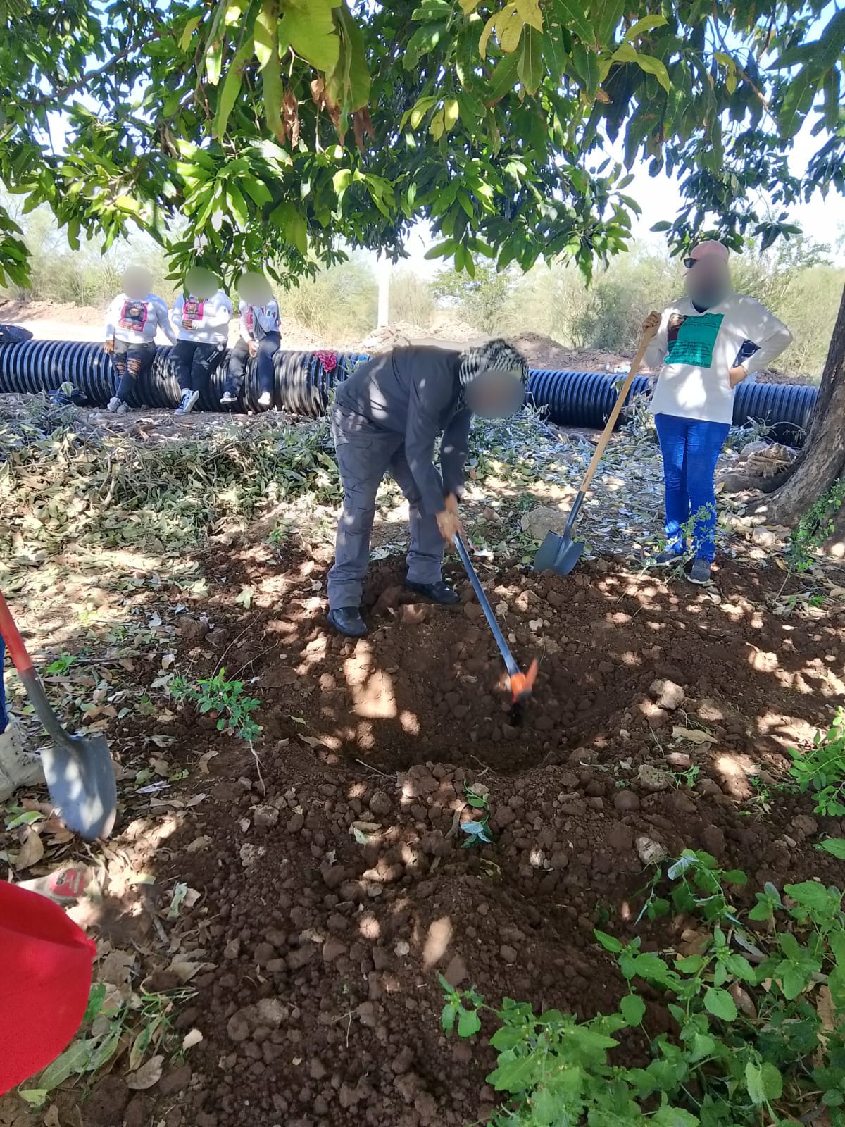 busqueda 8 de noviembre cajeme 2 2