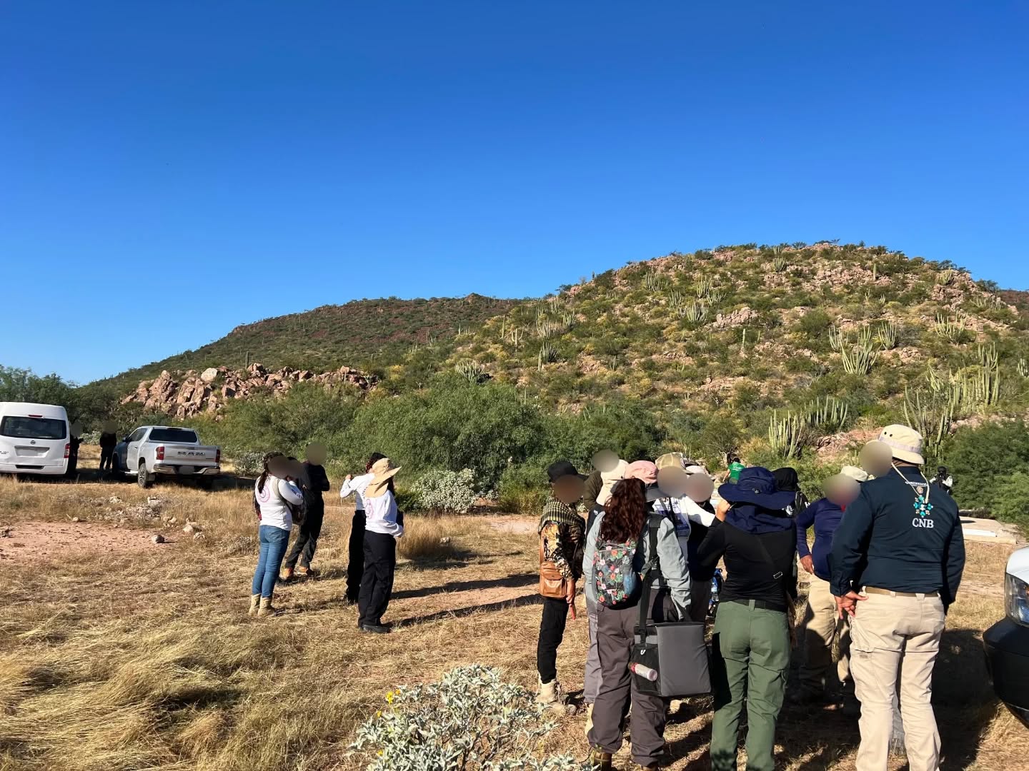 busqueda 11 de noviembre Guaymas 1 1