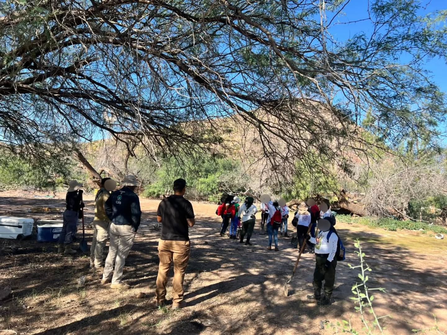 busqueda 11 de noviembre Guaymas 1 2