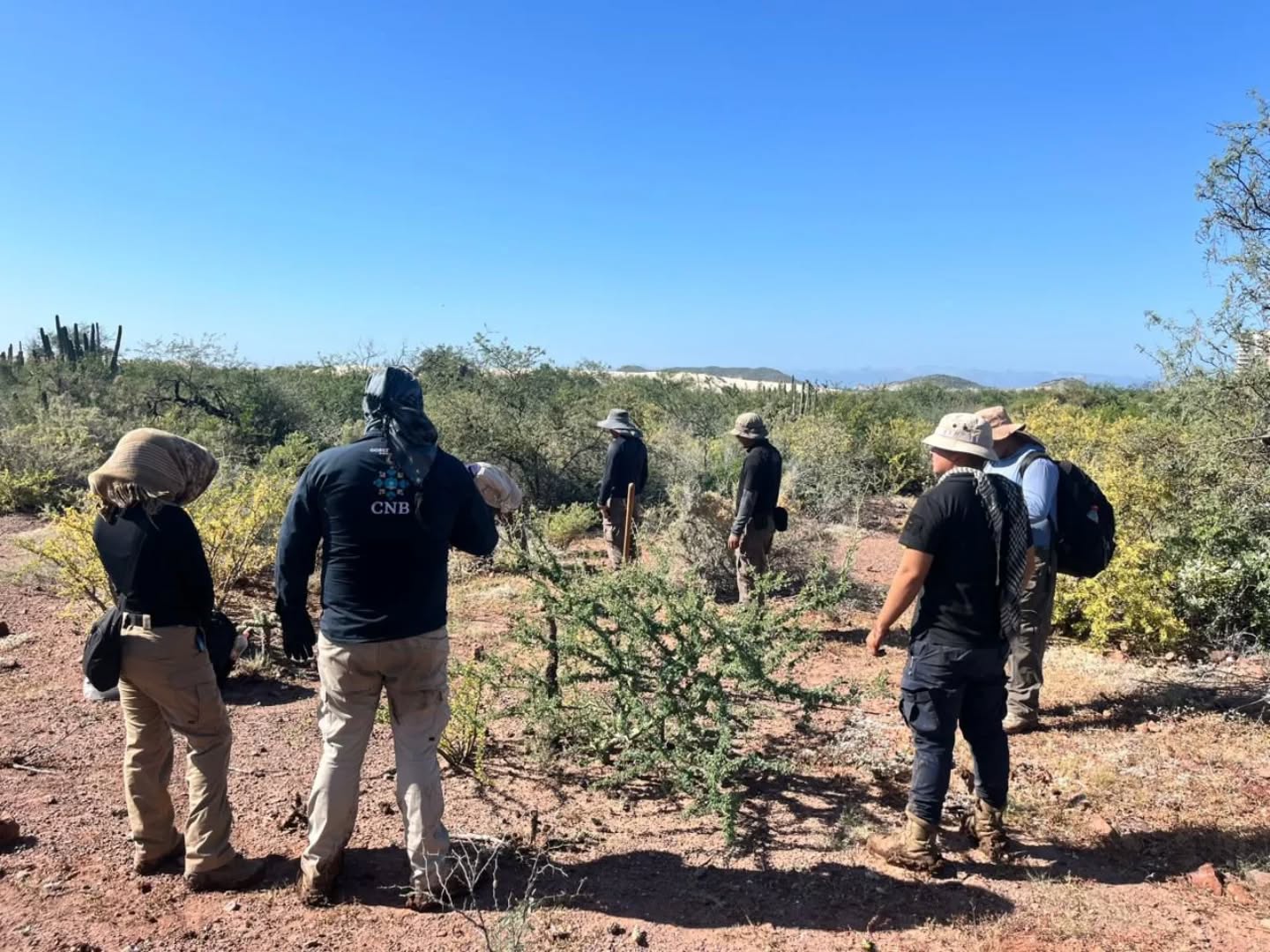 Búsqueda individualizada - 12 de noviembre 2025 en Guaymas, Sonora