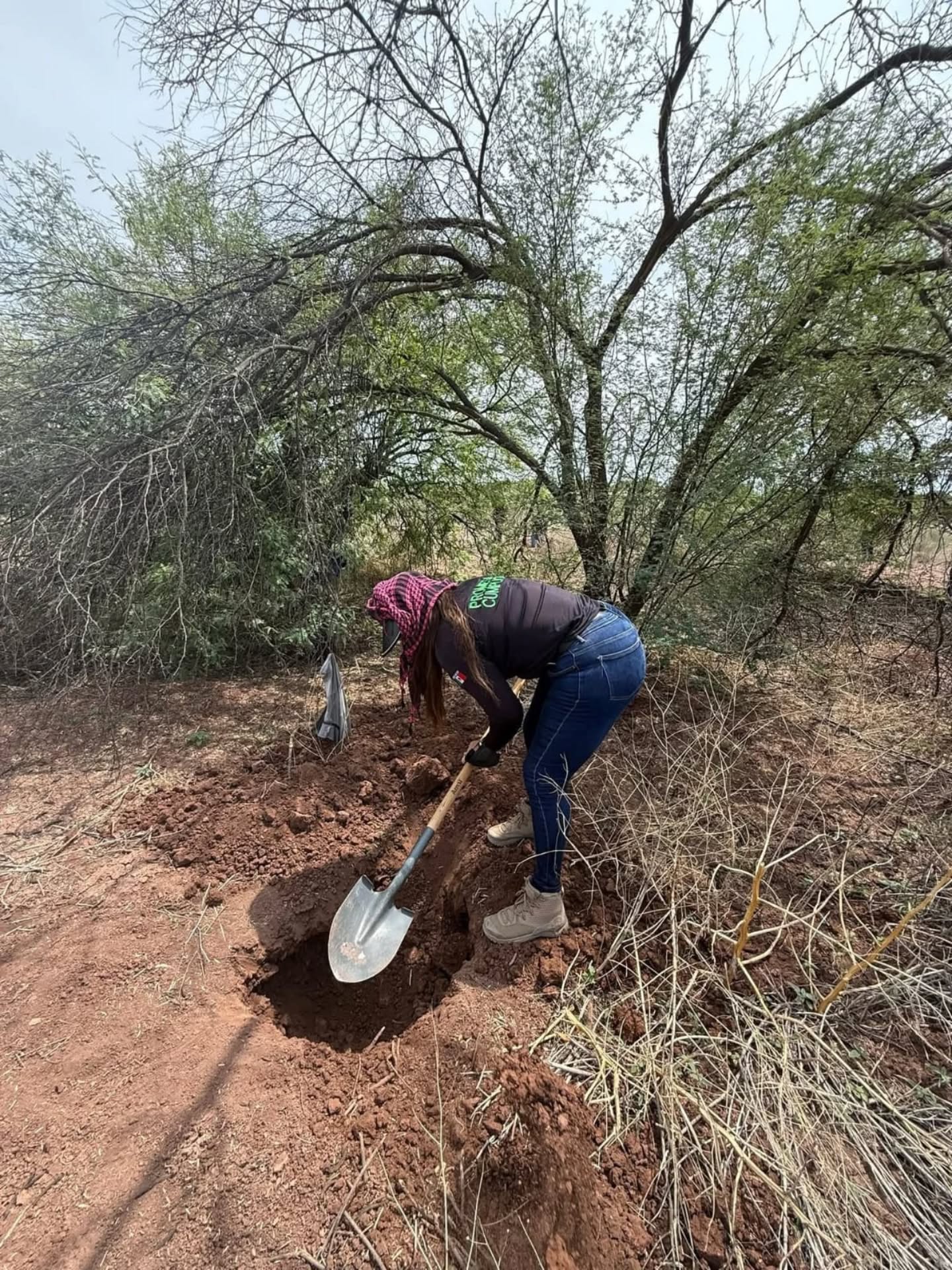 Búsqueda generalizada - 21 de noviembre 2025 en Guaymas, Sonora