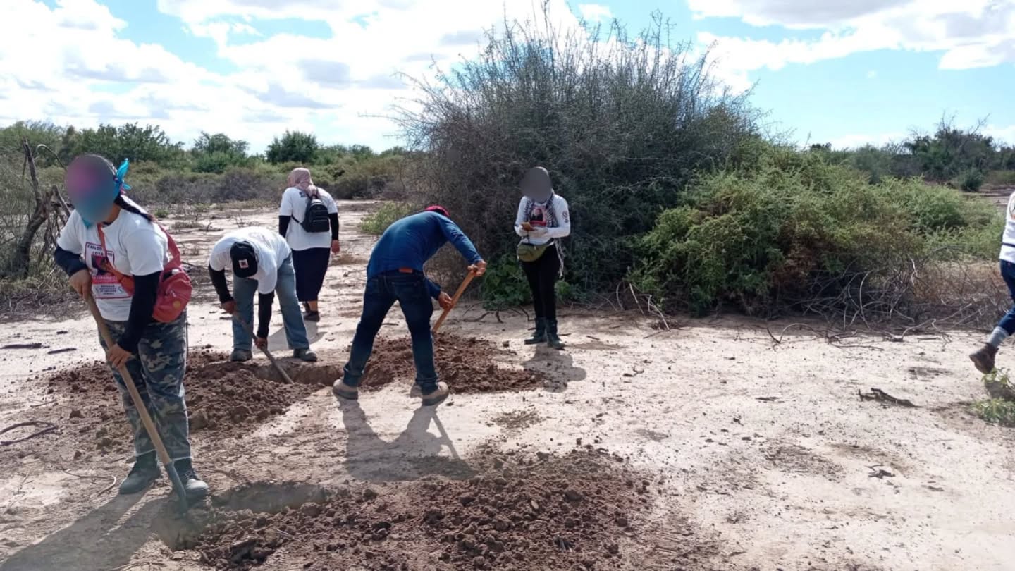 Búsqueda generalizada - 23 de noviembre 2025 en Guaymas, Sonora