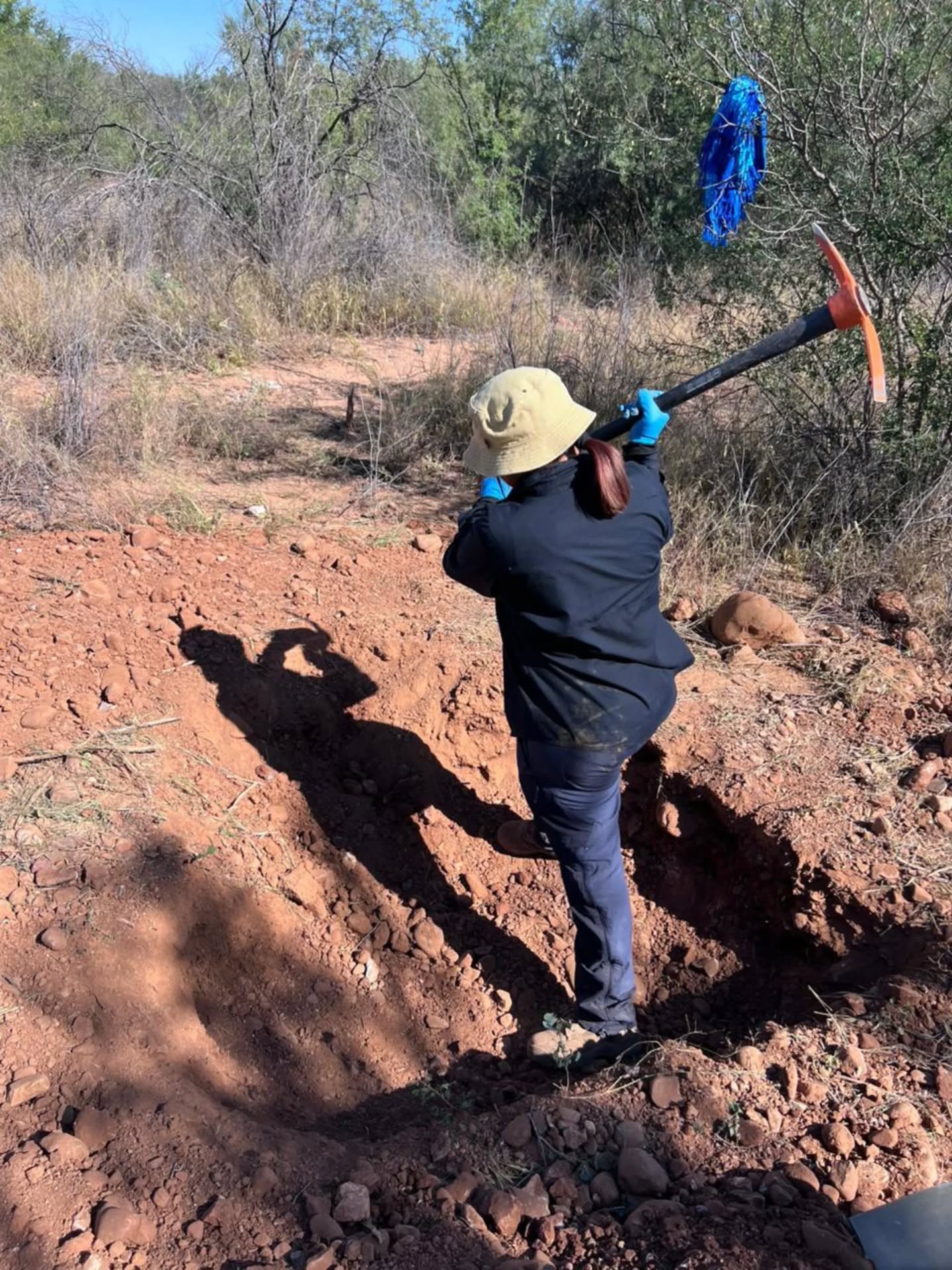 busqueda 10 y 11 de noviembre Hermosillo 1 2