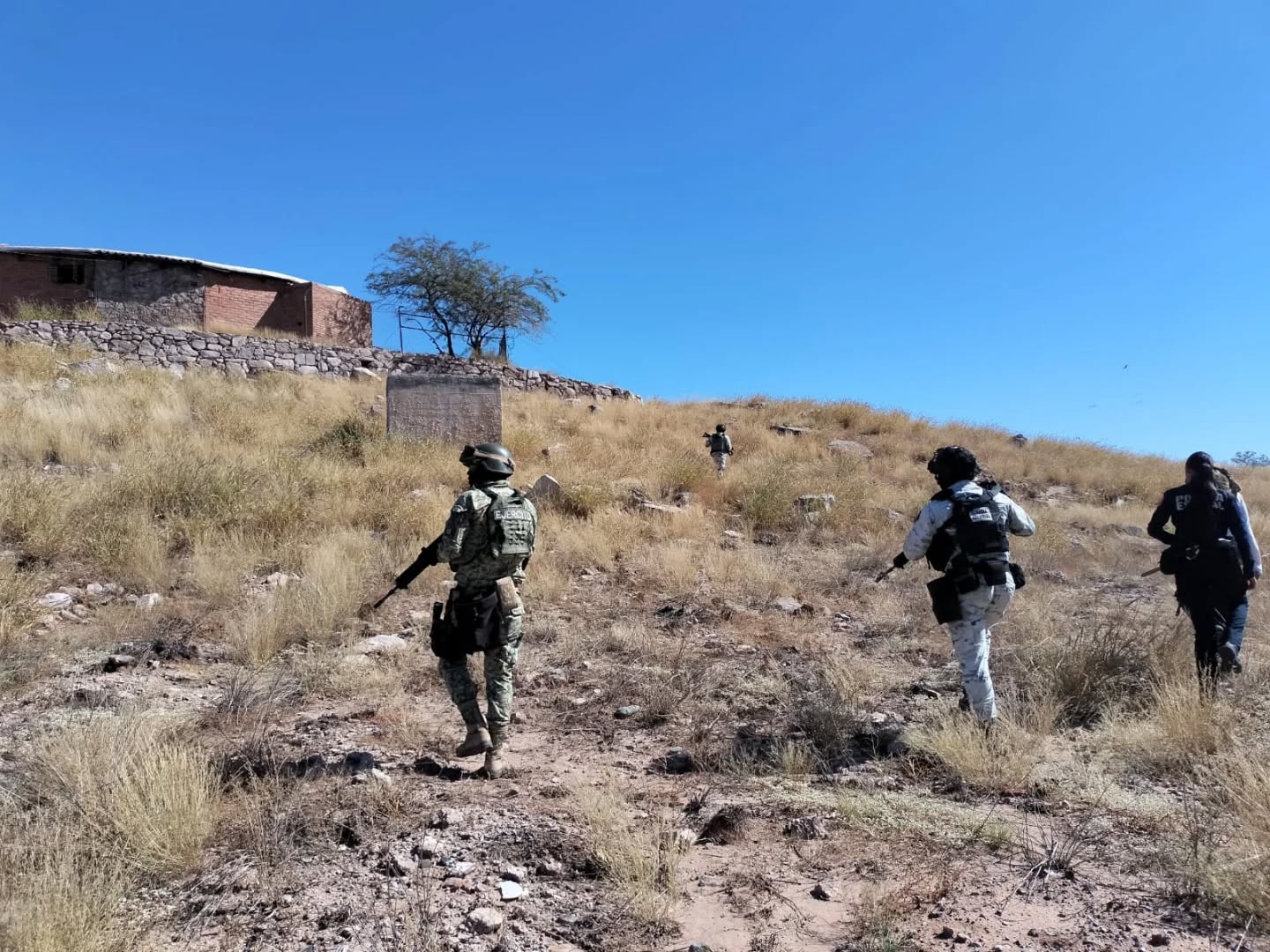 busqueda 10 y 11 de noviembre Hermosillo 1 3