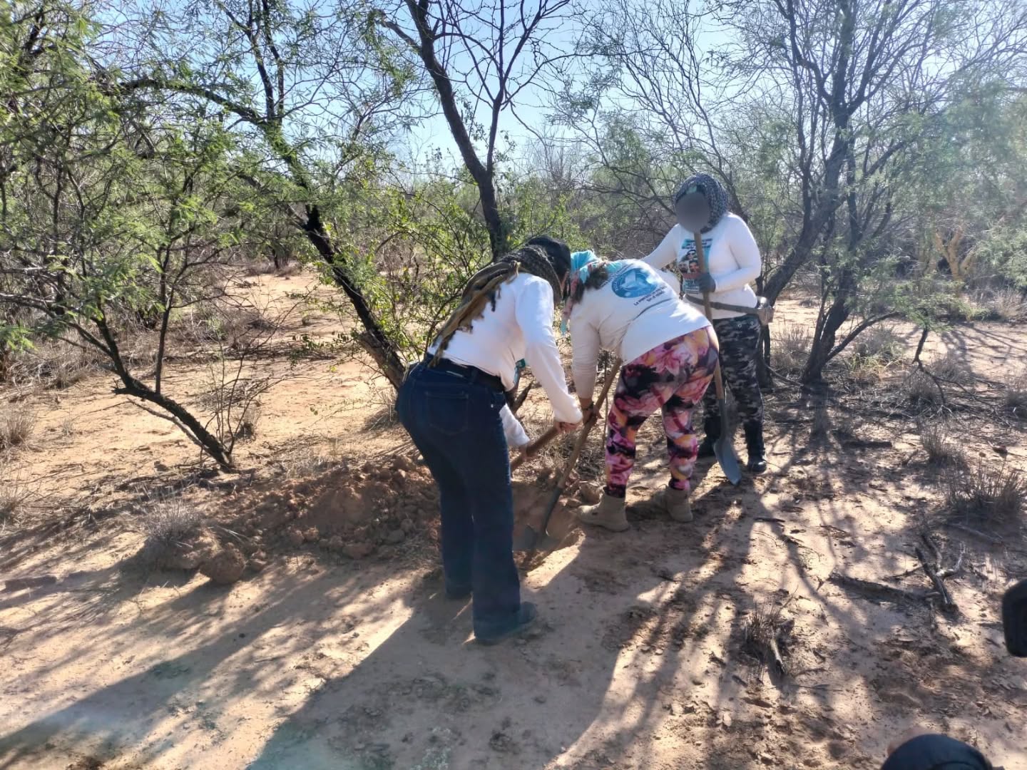 busqueda 10 y 11 de noviembre Hermosillo 1 4