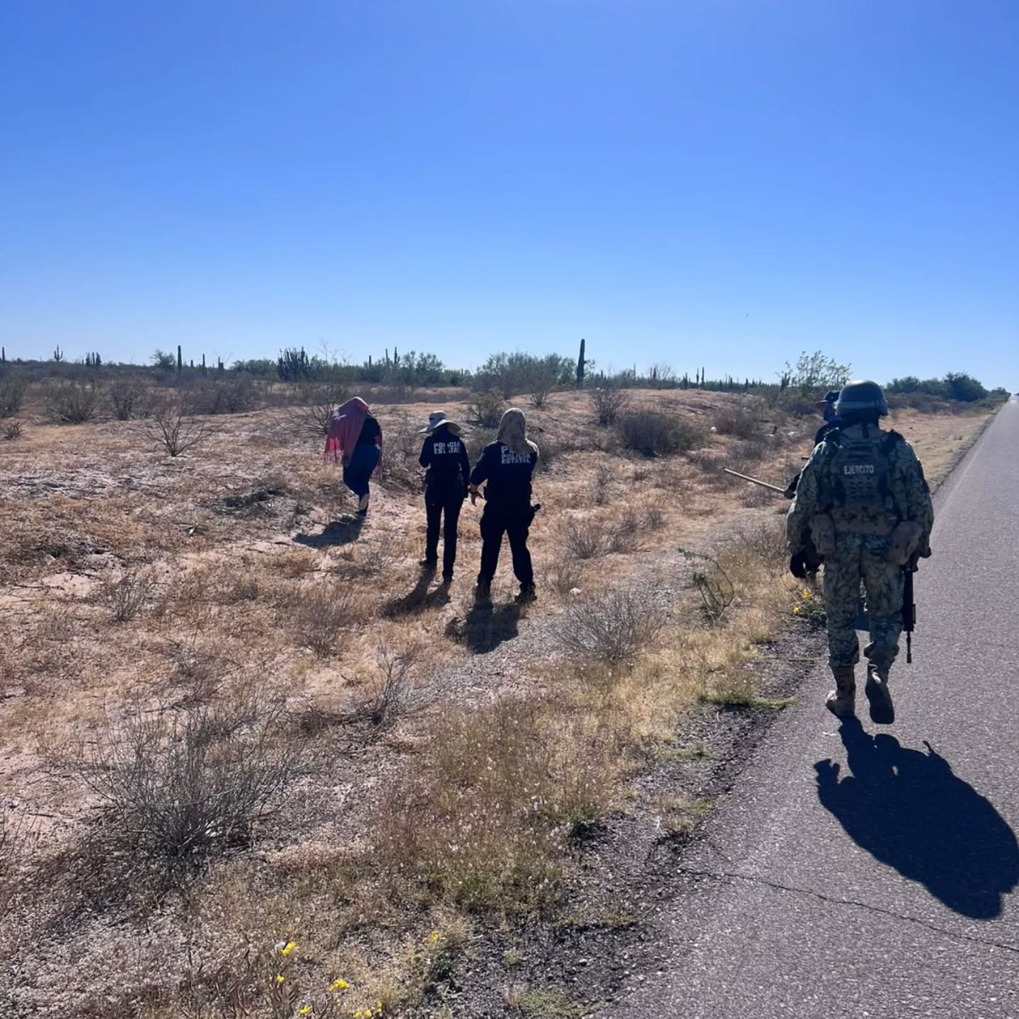 Búsqueda generalizada - 14 de noviembre 2025 en Hermosillo, Sonora 