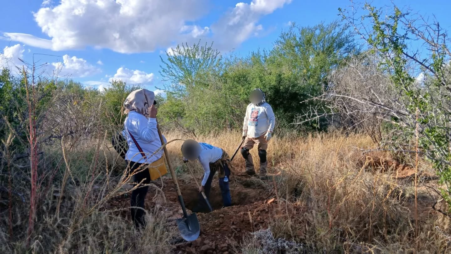 Búsqueda generalizada - 16 de noviembre 2025 en Hermosillo, Sonora