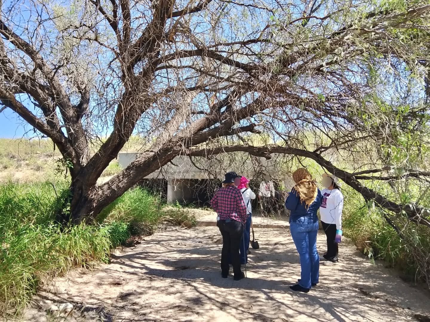 busqueda 19 de octubre mina nyco