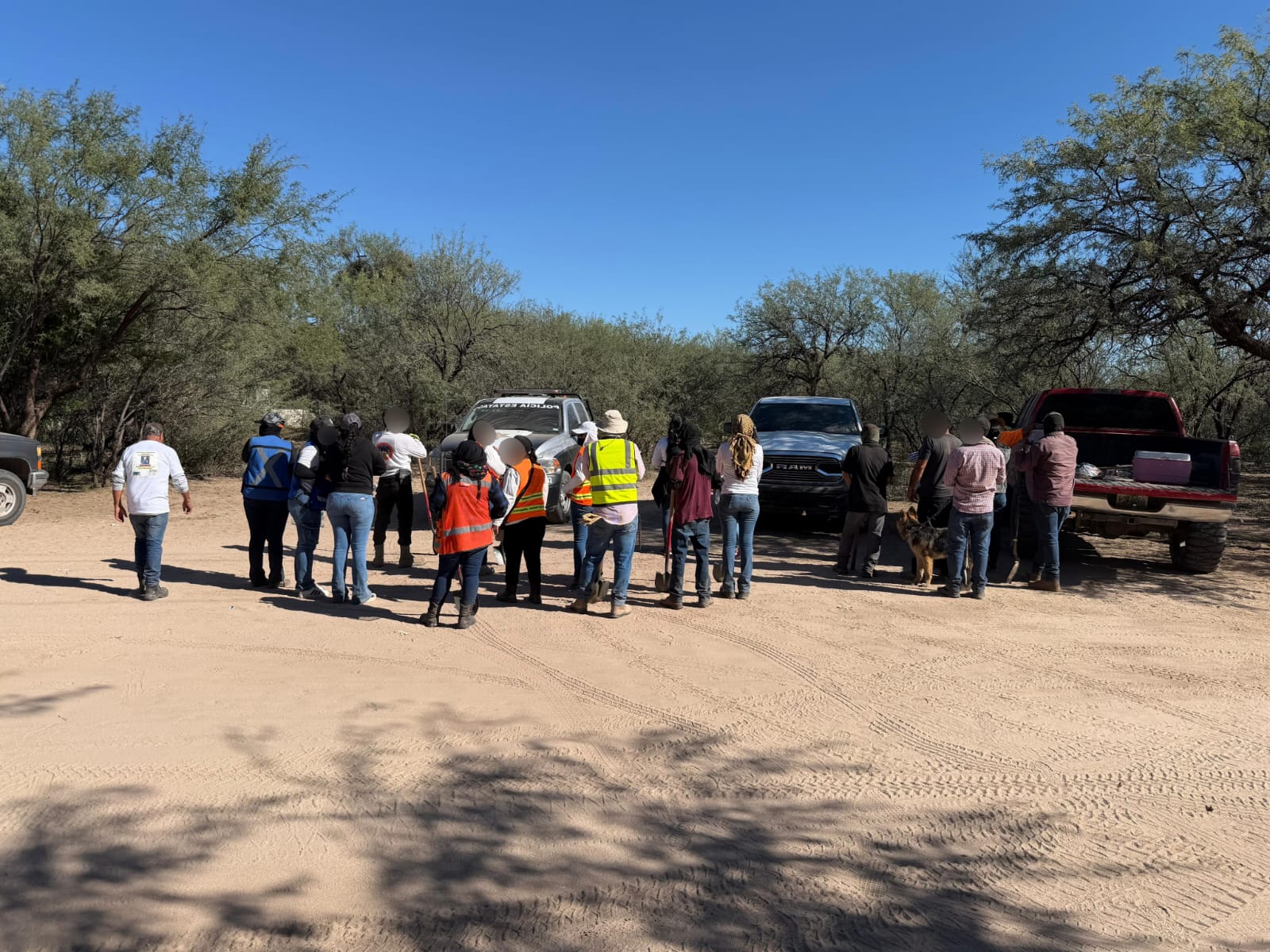 busqueda 9 de noviembre magdalena 1 2