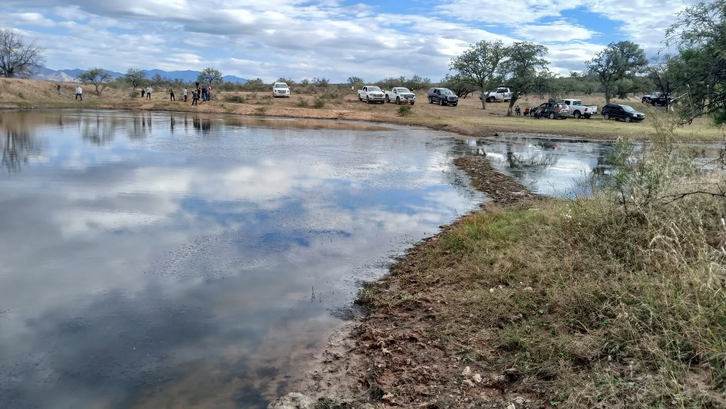Búsqueda individualizada - 15 de noviembre 2025 en Nogales, Sonora