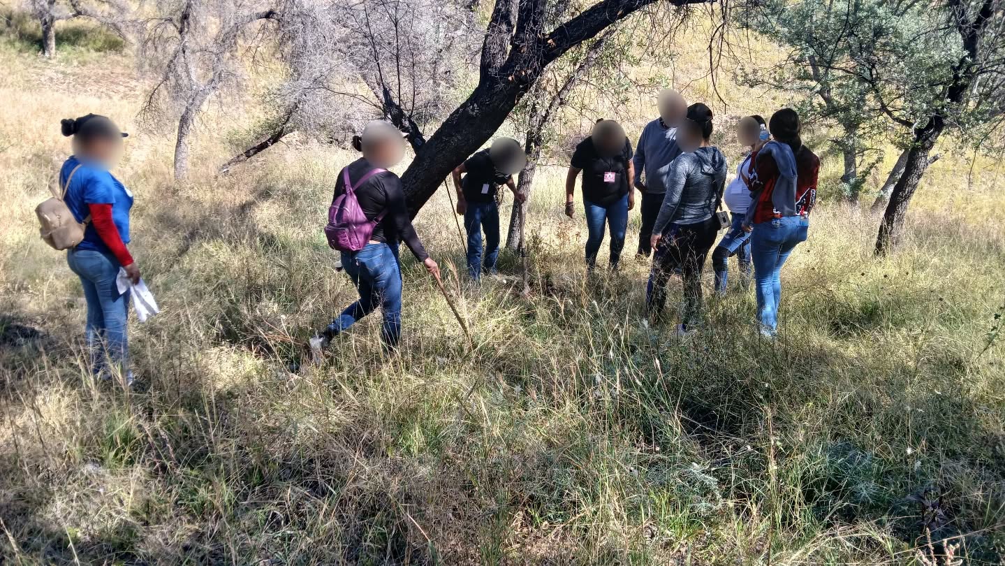 busqueda 15 de noviembre Nogales 1 2