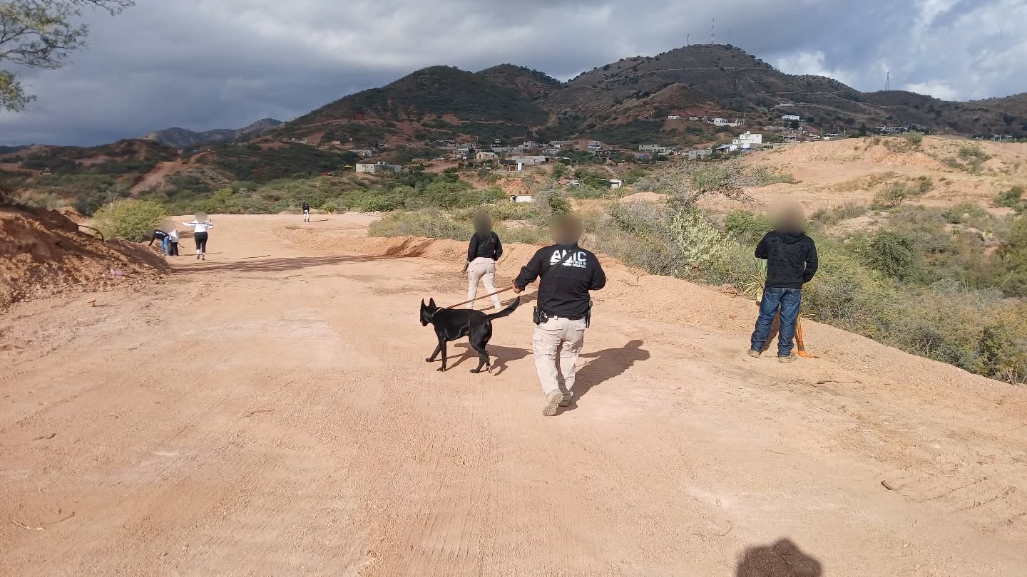 Búsqueda generalizada - 16 de noviembre 2025 en Nogales, Sonora