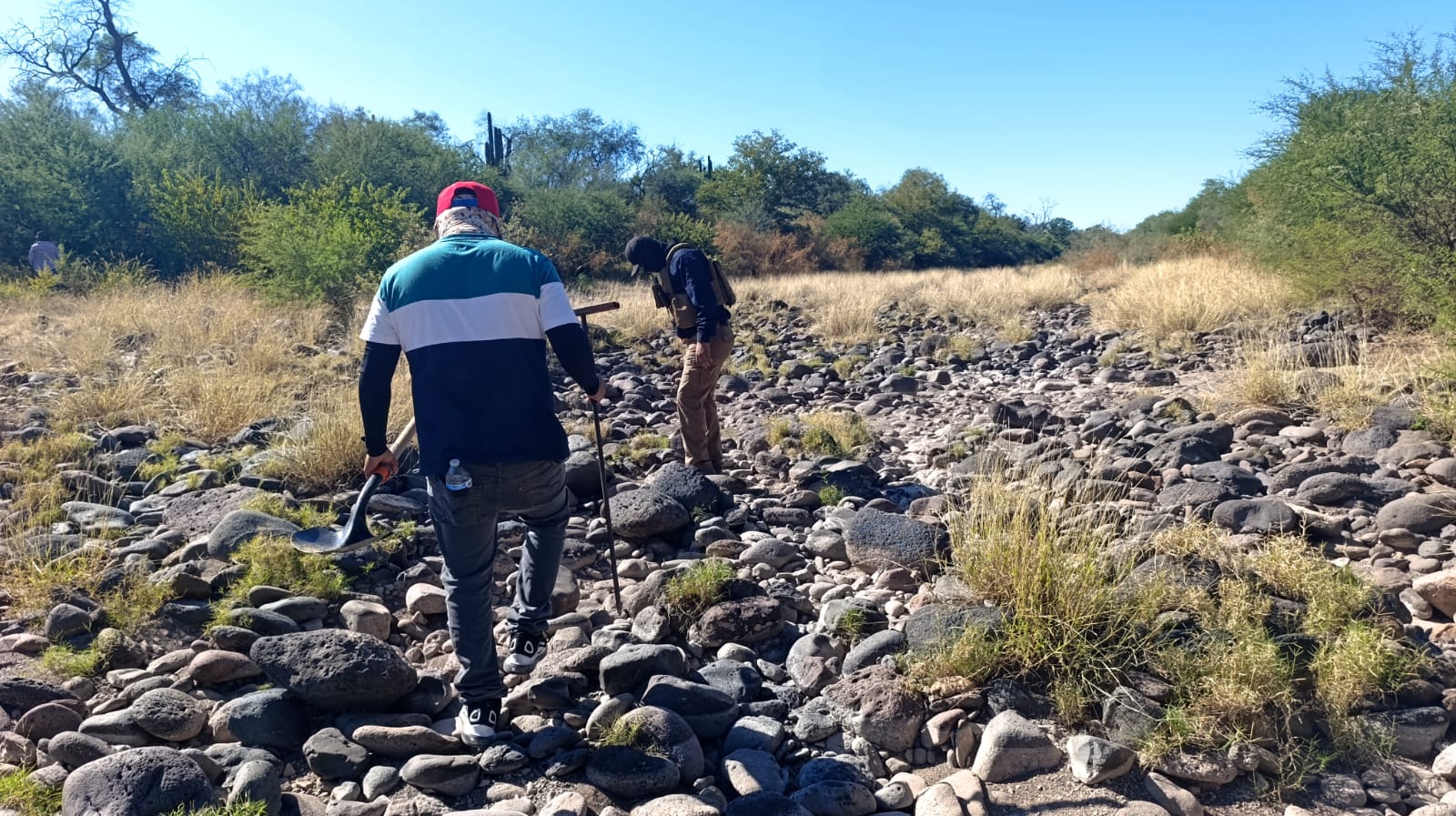 busqueda 8 de noviembre rosario tesopaco 1 3
