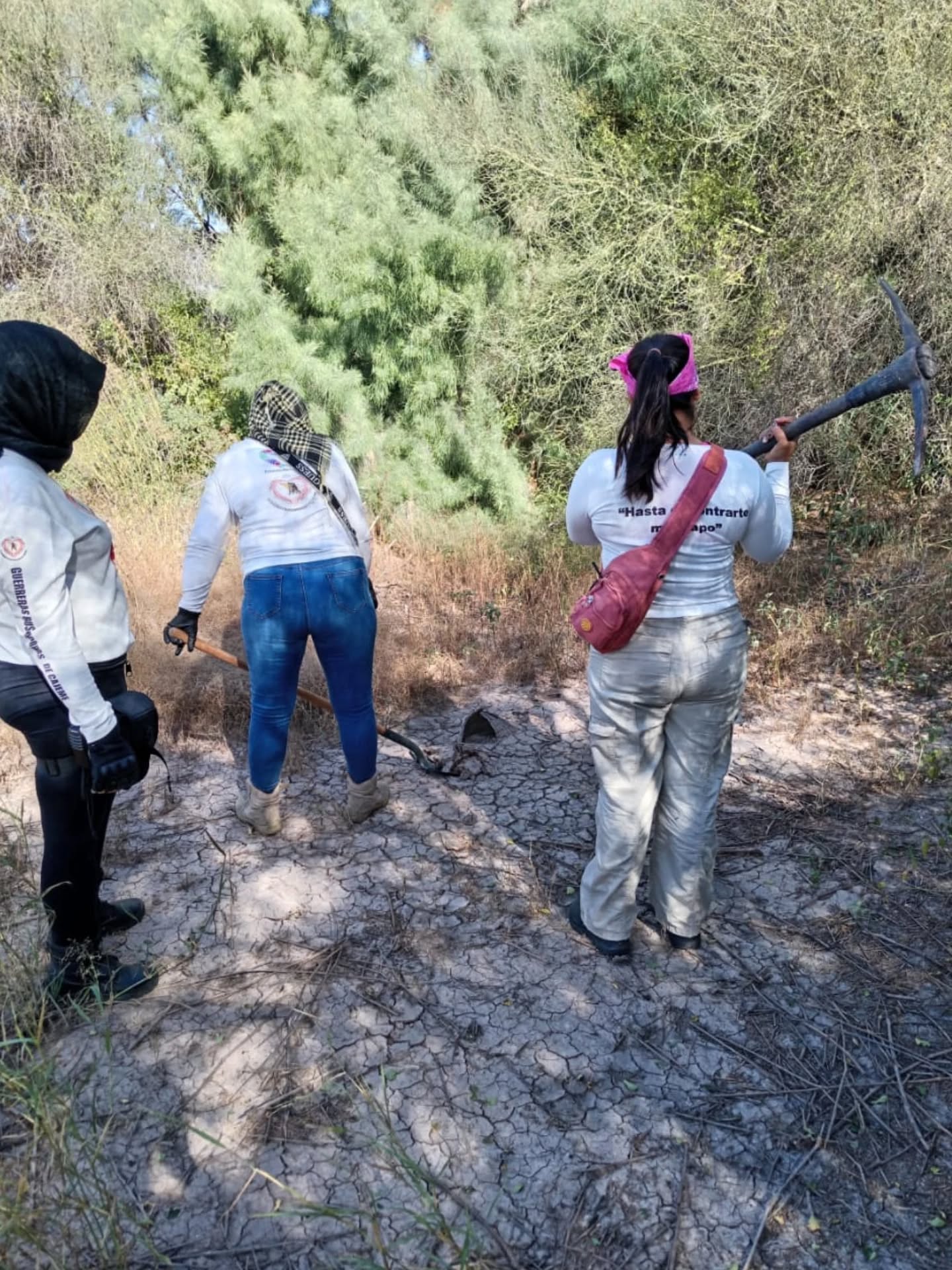 Búsqueda generalizada - 22 de noviembre 2025 en San Ignacio Rio Muerto, Sonora