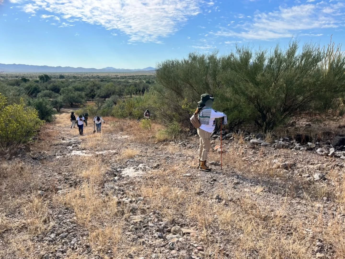 busqueda 15 de noviembre Trincheras 1 2