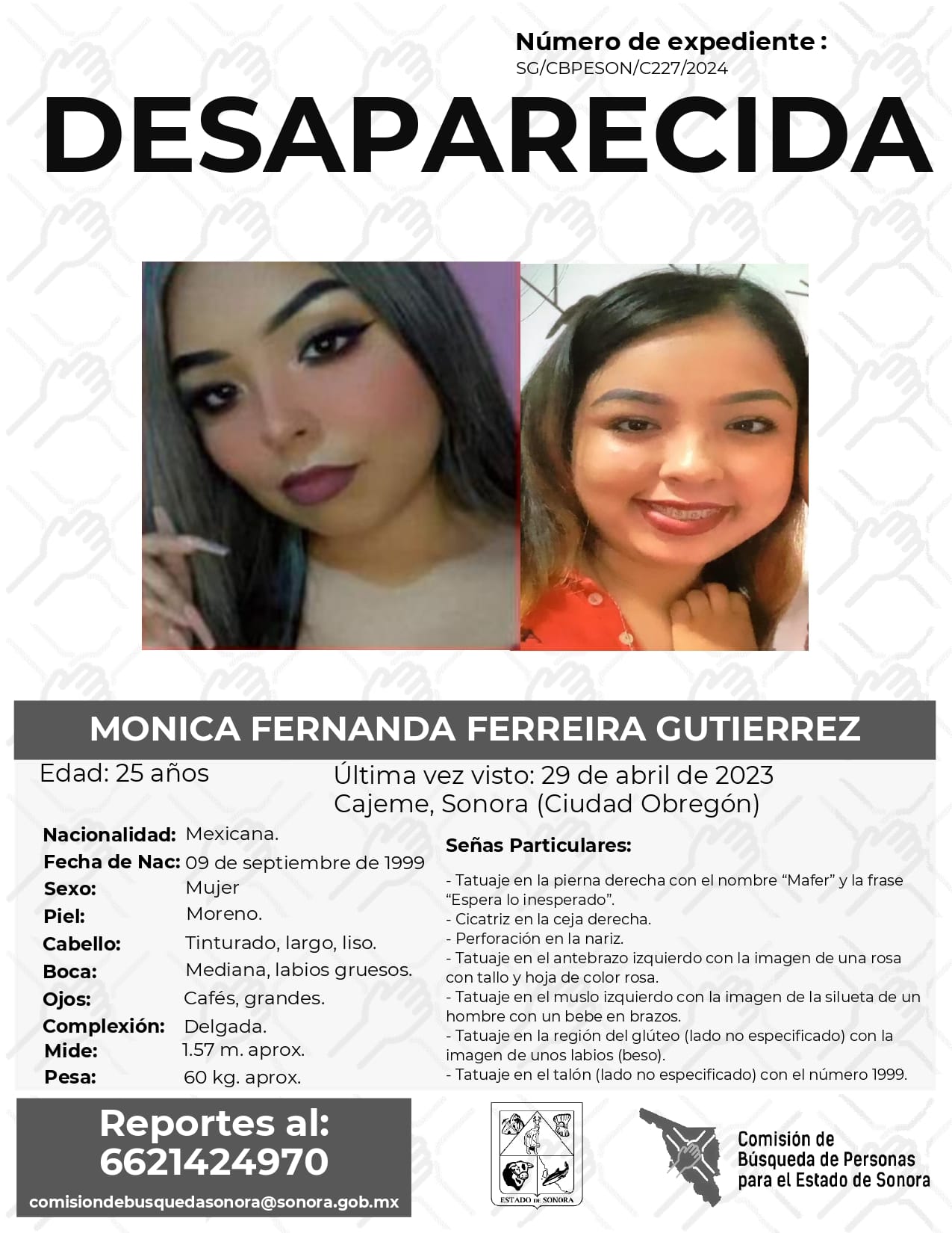 MONICA FERNANDA FERREIRA GUTIERREZ - DESAPARECIDA